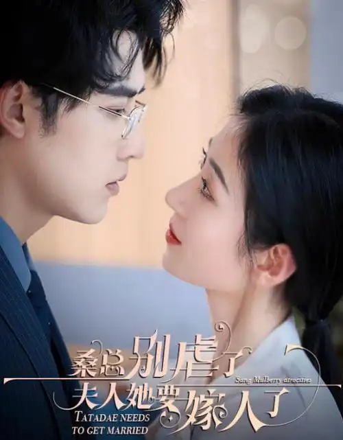 韩剧汉江以南全集免费在线观看